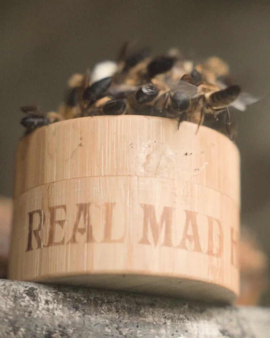 Live Himalayan bees crawling over an engraved Real Mad Honey bamboo jar, fresh from the hive
