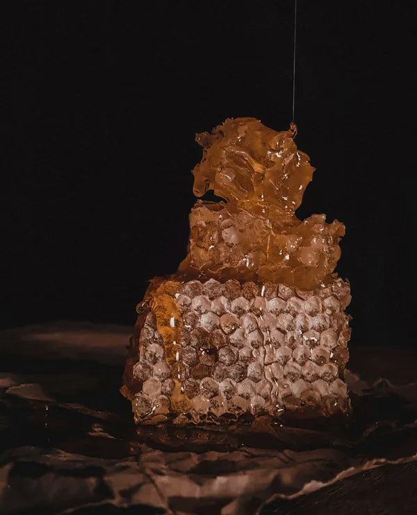 Raw honeycomb on a dark table