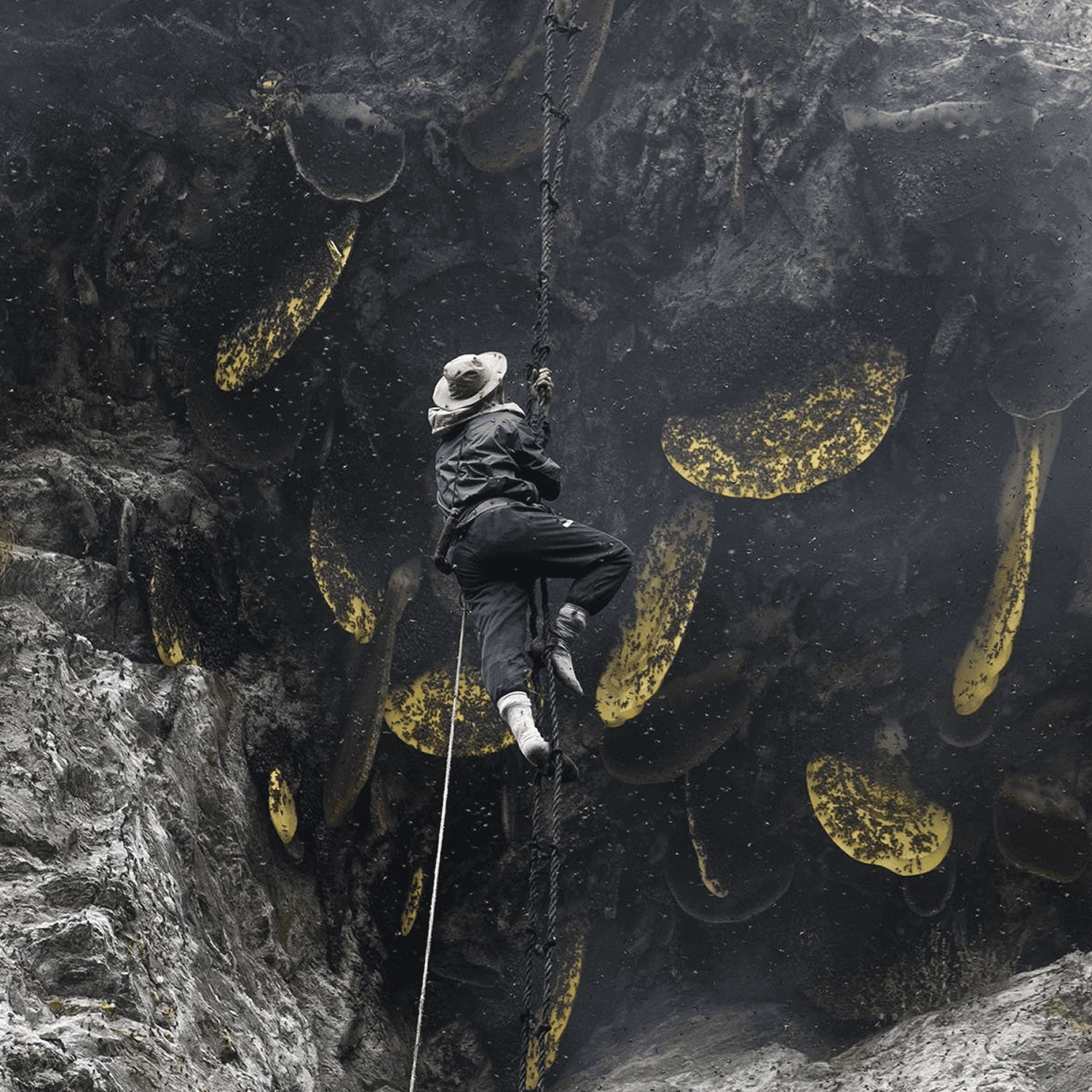 Smoking the Hives