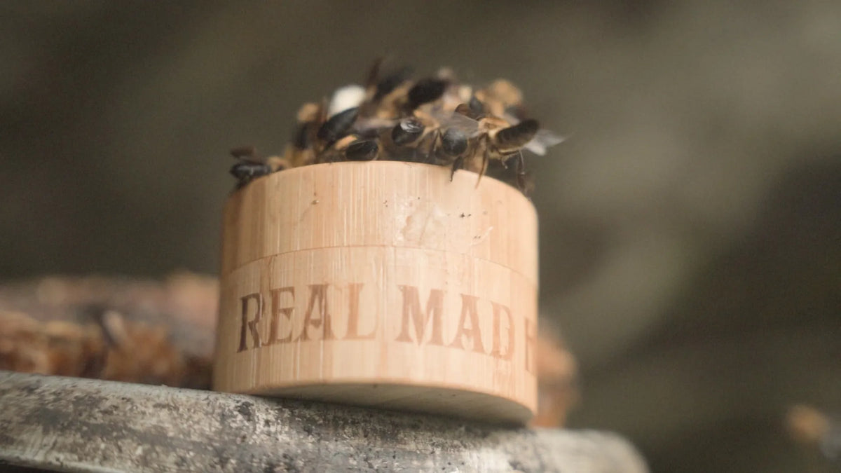 Live bees crawling over a Real Mad Honey wooden jar topped with fresh honeycomb