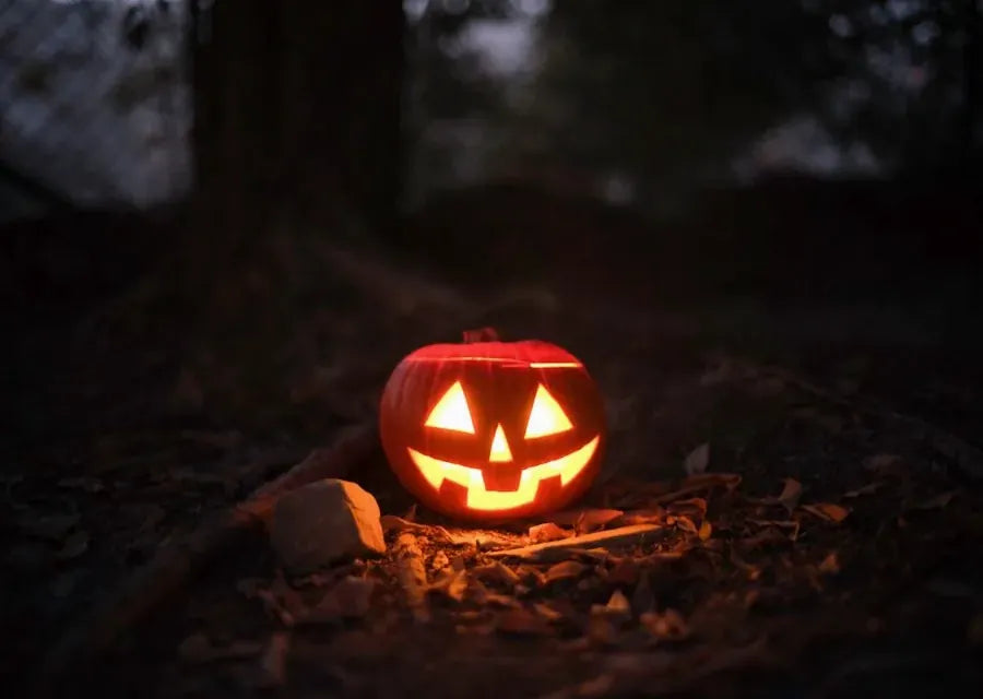 Glowing jack-o-lantern in a dark forest